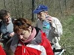 KIF_2992.jpg