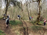 KIF_3015.jpg