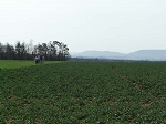 KIF_3017.jpg