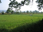 IMG_0754.jpg