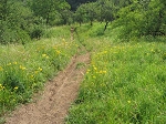 IMG_0772.jpg