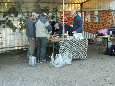 KIF_5558.jpg