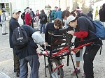 KIF_5561.jpg