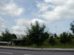 P1010335.jpg