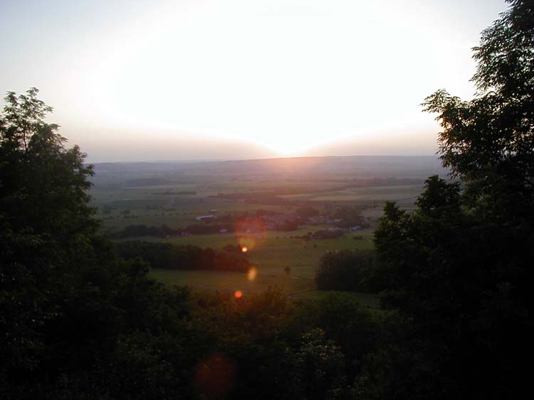 P1010084.jpg